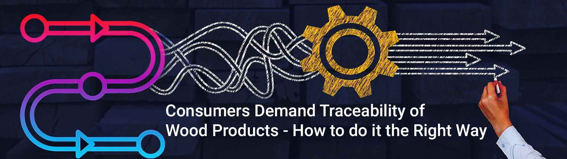 Consumers Demand Traceability of Wood Products