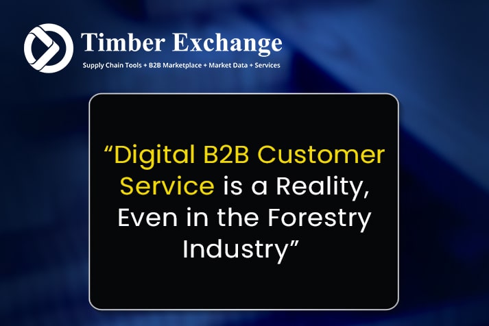 Digital B2B Customer Service