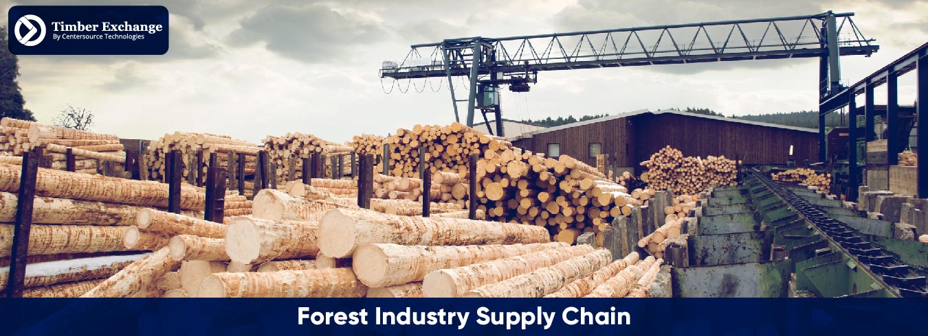 Forestry Industry Supply Chain Challenges