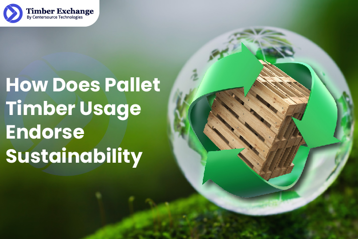 How Does Pallet Timber Usage Endorse Sustainability
