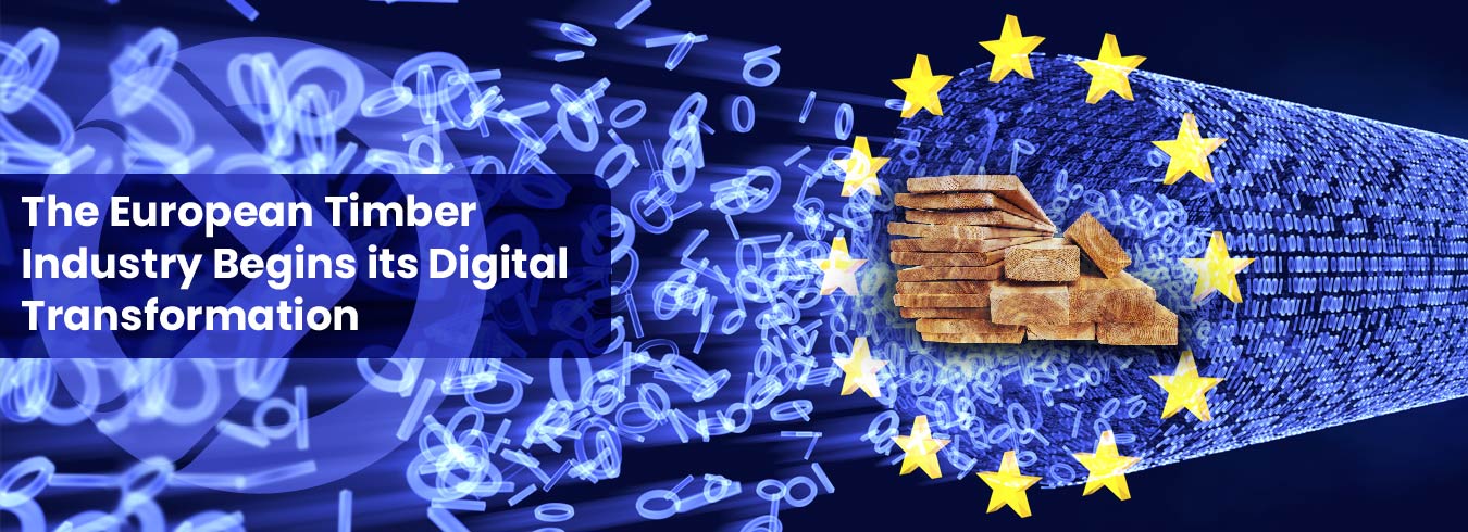 European Timber Industry