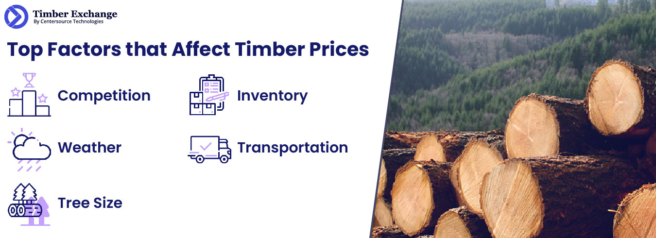 Top Factors that Affect Timber Prices