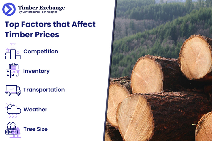 Top Factors that Affect Timber Prices
