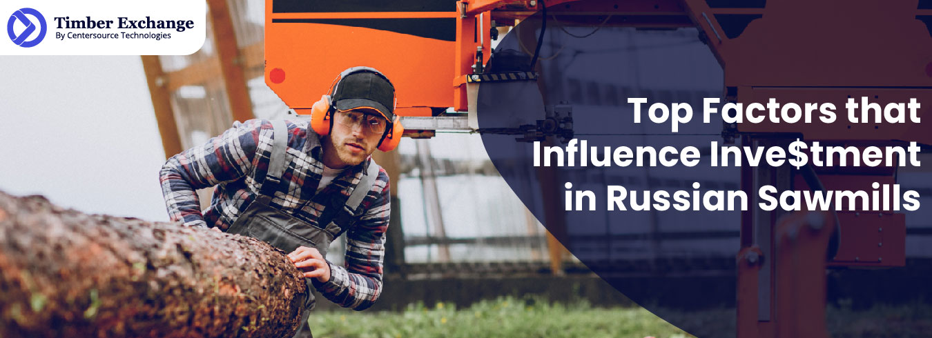 Top Factors that Influence Investment in Russian Sawmills
