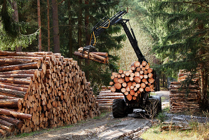 The Case for digitisation of the Forestry Industry