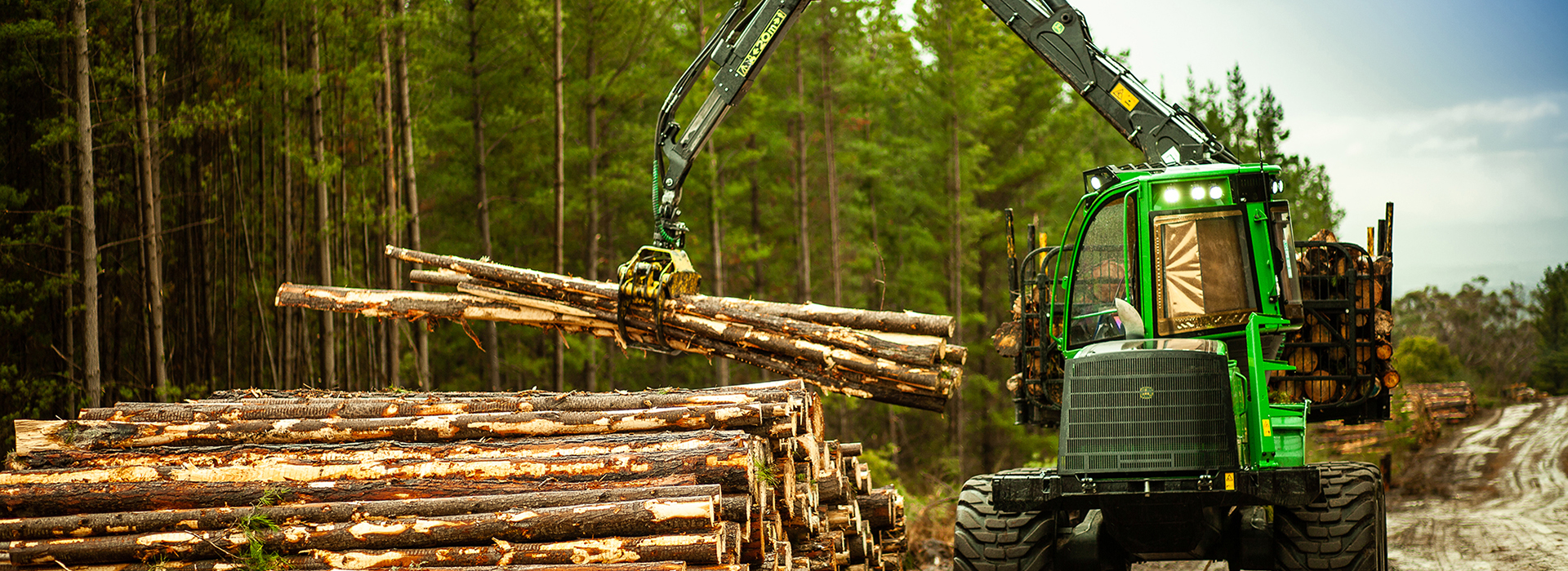 Forest Industry and Global Supply Chains