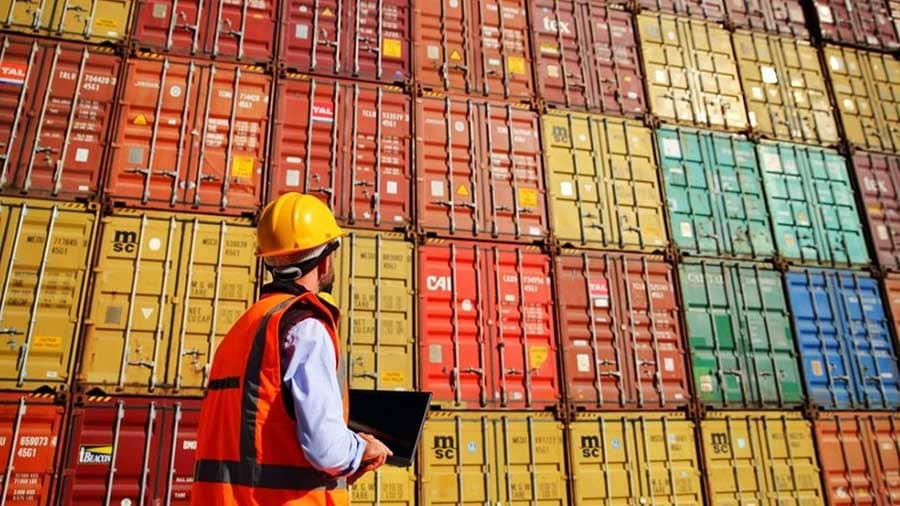 Timber Cargo Inspection